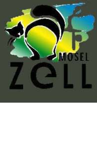 02 Zell 2010